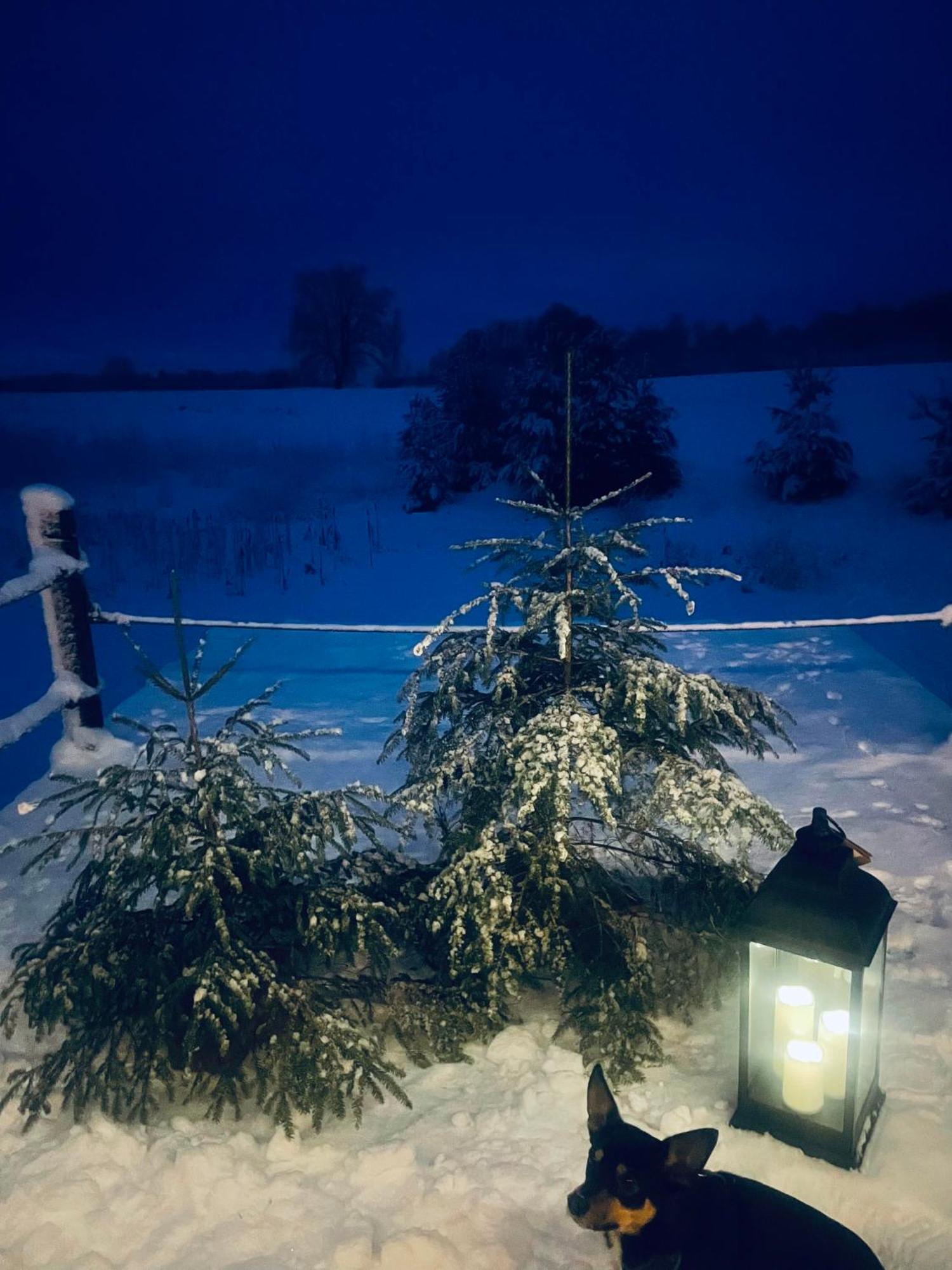 Vecvanagi Jaunmuiza Bagian luar foto